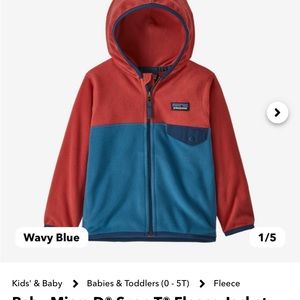 Patagonia toddler boys, micro fleece sweater (2T) (wavy blue)